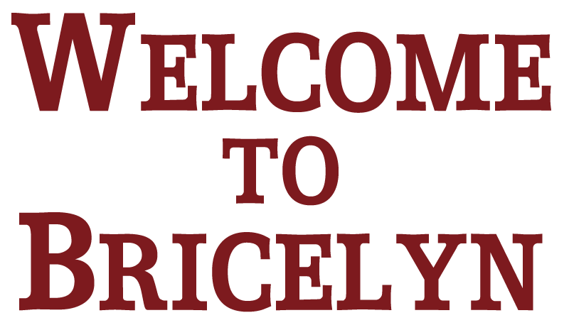 Welcome to Bricelyn logo text