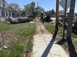 Crews remove trees and sidewalks in the project area.